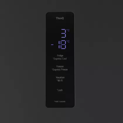 Холодильник LG GC-B509FTZW